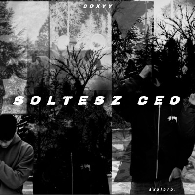 SOLTÉSZ CEO