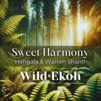 Sweet Harmony - Single - Wild.Ekoh, Warren Shanti & Hangala