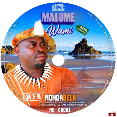 Malume Wami - Single