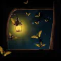 Moths