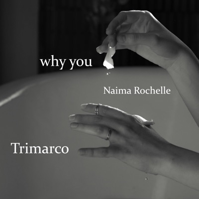 Why You (feat. Naima Rochelle) - Single