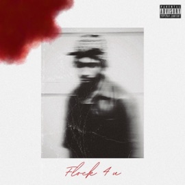 Flock 4 U Darri Vinci