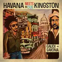 100 Pound Of Dub — Mista Savona, Gaudi, Havana Meets Kingston