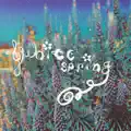 White spring