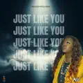 Just Like You