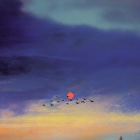 Express - Single - Slo Loris