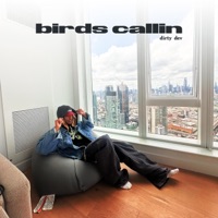 Birds Callin - Single - Dirty Dev