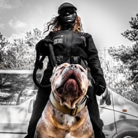 XL Bully - Single - The Skinner Brothers & Sox