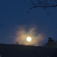 story freestyle - Single - MTFSG