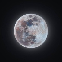 Cat's Out the Bag - Single - Uzi x Reaper