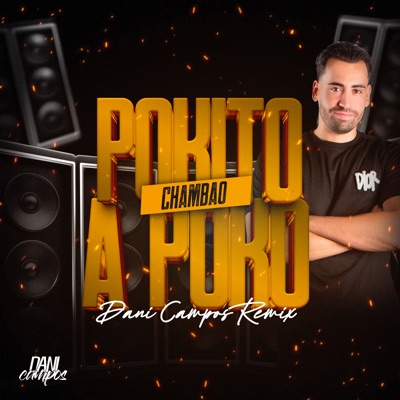 Pokito a Poko (Remix) artwork