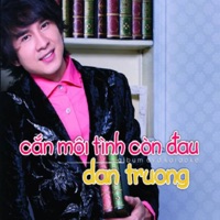 Cắn Môi Tình Còn Đau - Đan Trường