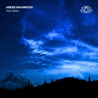 You Wish - Single - Areeb Mahmood