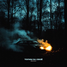 Топим за своё WELLVIZY