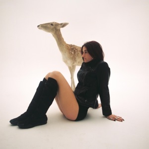 Album cover for Could've Been Me - Single