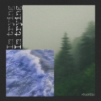 I'm Trying - Single - Chxrlie