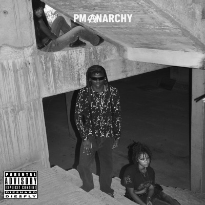 PM Anarchy