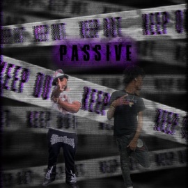 PASSIVE (feat. iLLne$$) Drahccir