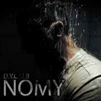 D.Y.C.I.I.B