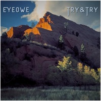 Try&Try - Single