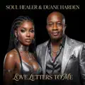 Soul Healer