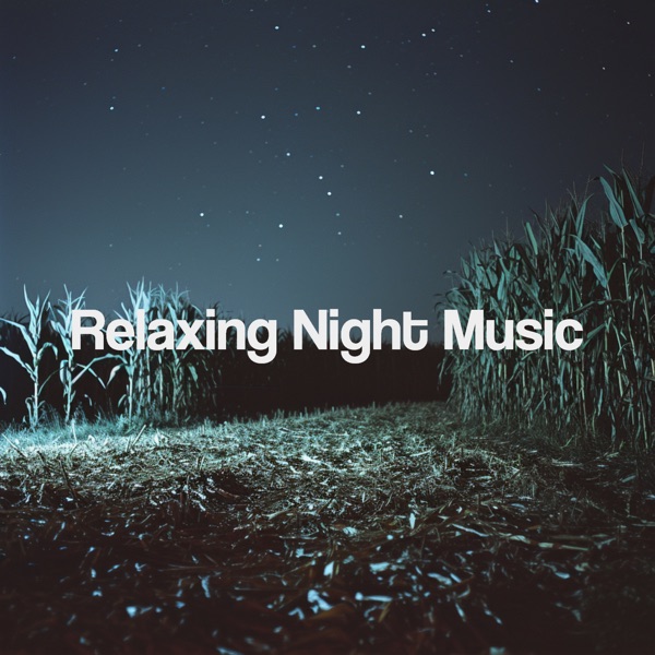 Relaxing Night Music