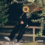 A veces melancólico - Single
