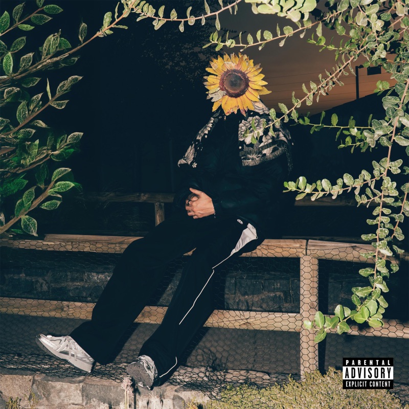A veces melancólico - Single