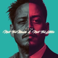 Not Too Much & Not Too Little - Single - DVS 7.0