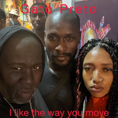 I Like the way you move (feat. Brazilian Connect, Dj Amar Mansoor, Dami falade & Afroyá) - Single