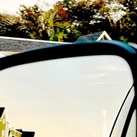 suburban golden trash - Adastra & Yankees