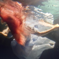 c'est la vie - Single - Lilypichu