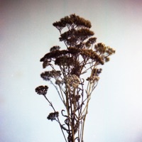 Wayfarer - Single - Maromaro