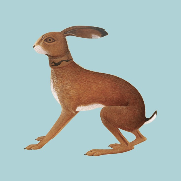 Just Another Diamond Day - Album by Vashti Bunyan - Apple Music