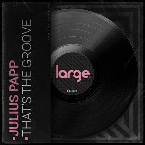 That's the Groove - Single