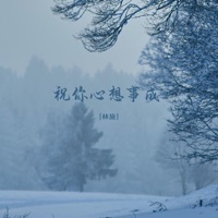 祝你心想事成 - EP - 林施
