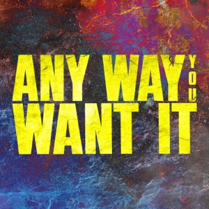Any Way You Want It (Epic Version) - Single