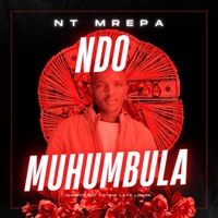 Ndomuhumbula (feat. Nevie blue, Lover mrepa & Csg Galaha) - Single - NT mrepa