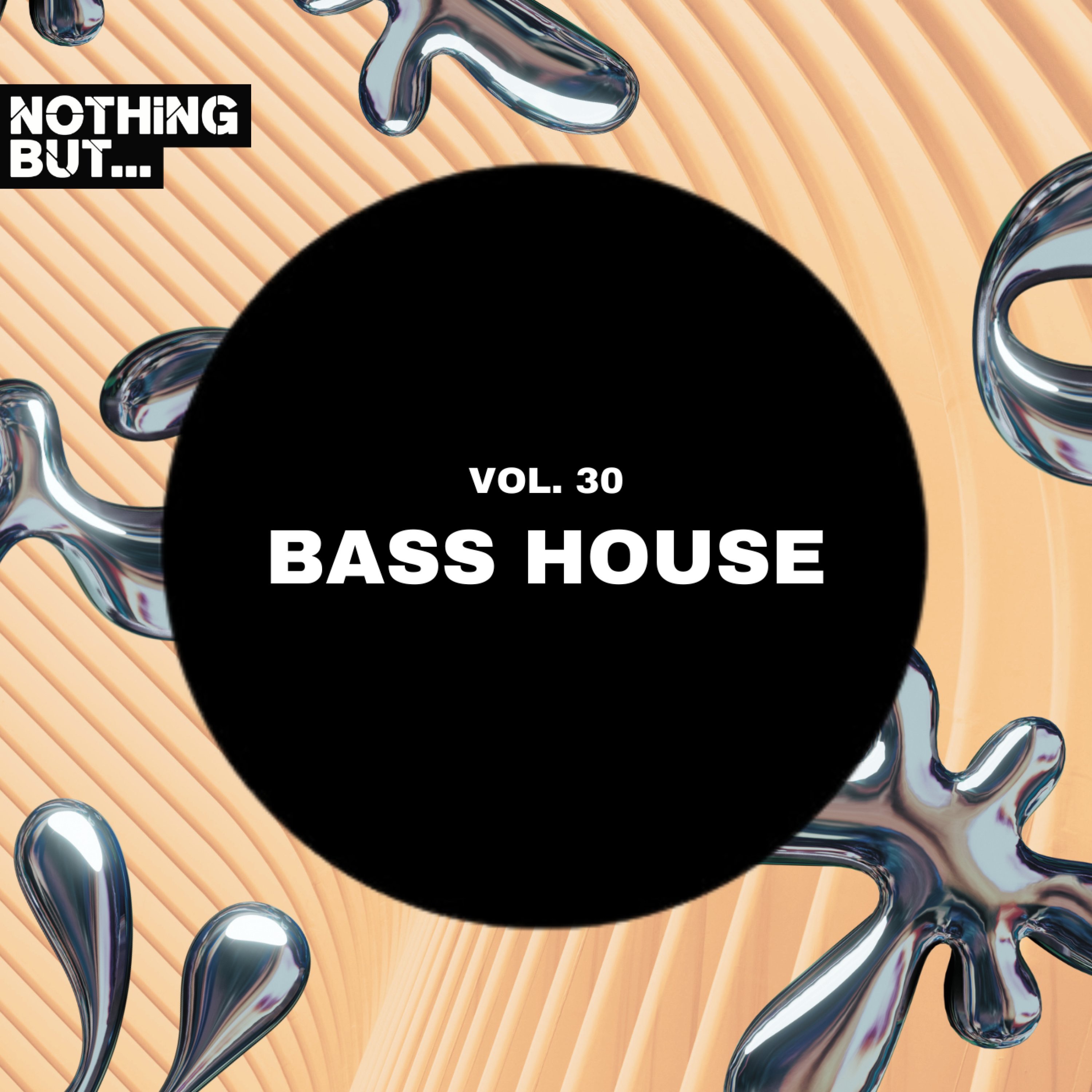 Nothing But... Bass House, Vol. 30