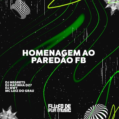 Homenagem ao Paredão Fb - Single