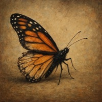 Butterfly - Single - AlexandRRa