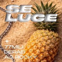 Se luce (feat. 77mili, Aj rocky & Dolore$) - Single - Deras