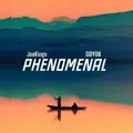 Phenomenal