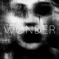 Wonder (feat. Ruelle) - Single - Happy Walters