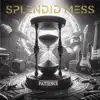 Splendid Mess - What you're really worth
