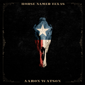 Album cover for Horse Named Texas