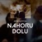 Nahoru dolu (feat. Arwi) - Rysa lyrics