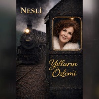 Yılların Özlemi - Single - Nesli