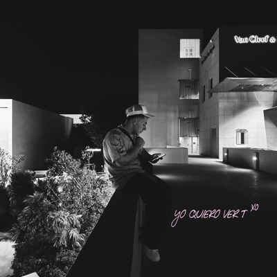 YO QUIERO VER T - Single