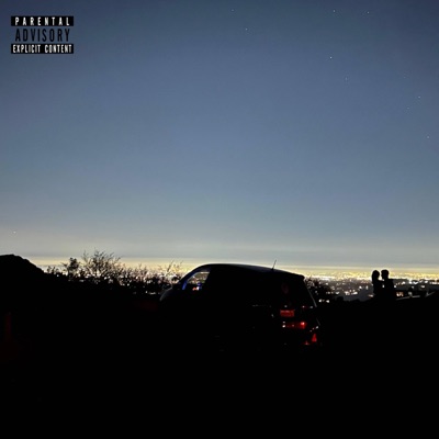 What You Tryna Do - Single